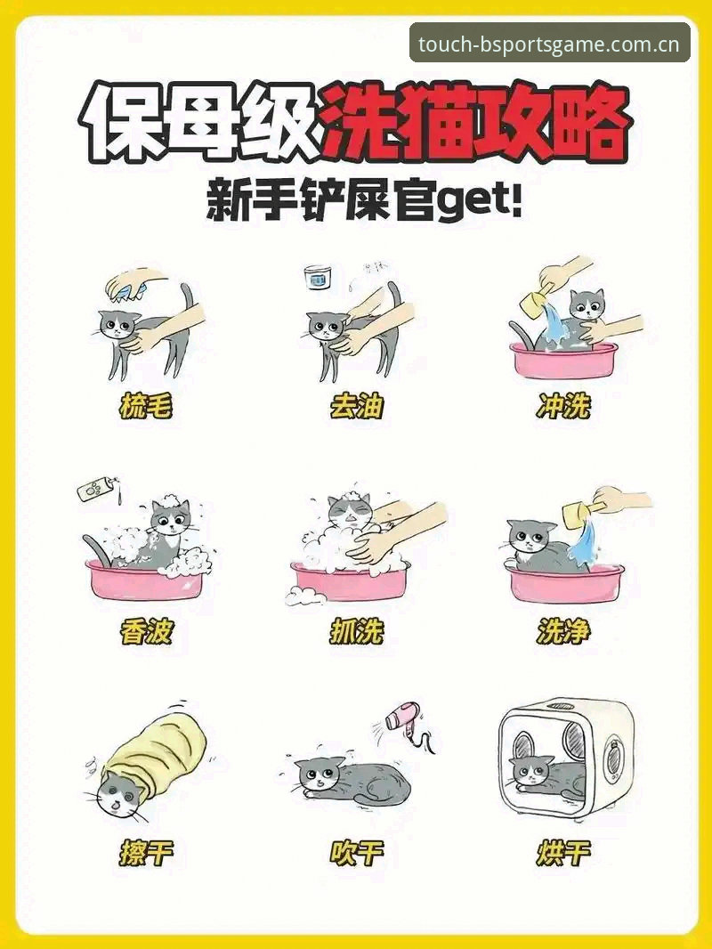 Bsports体育竞猜 新手必看:Bsports体育竞猜平台使用心得,从安装到投注全攻略