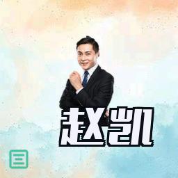 赵凯